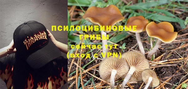 эйфоретик Кукмор