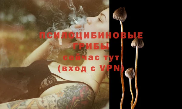 эйфоретик Кукмор