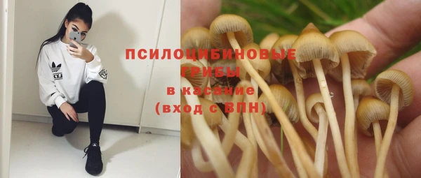 эйфоретик Куйбышев