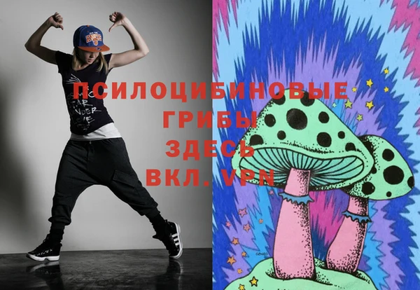 спиды Лагань