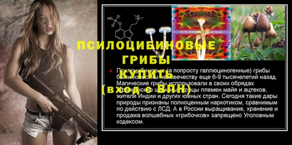 шишки Ладушкин