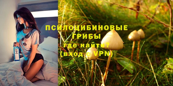 спиды Лагань