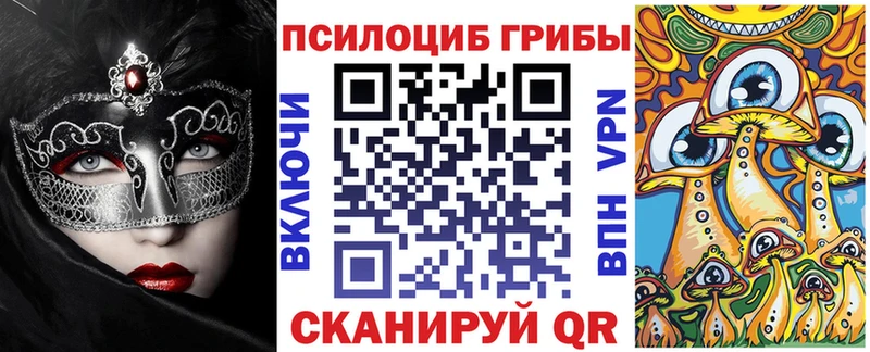 Галлюциногенные грибы Cubensis  Малгобек 