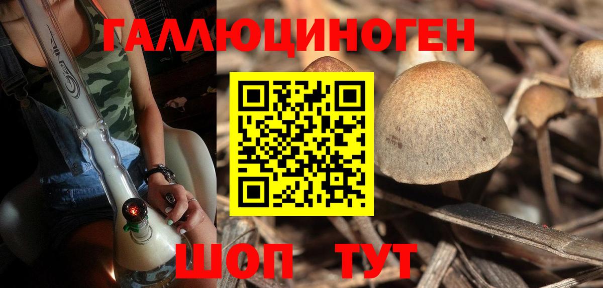 Малгобек  Галлюциногенные грибы ЛСД  где продают   Вход с VPN  Галлюциногенные грибы Psilocybe 