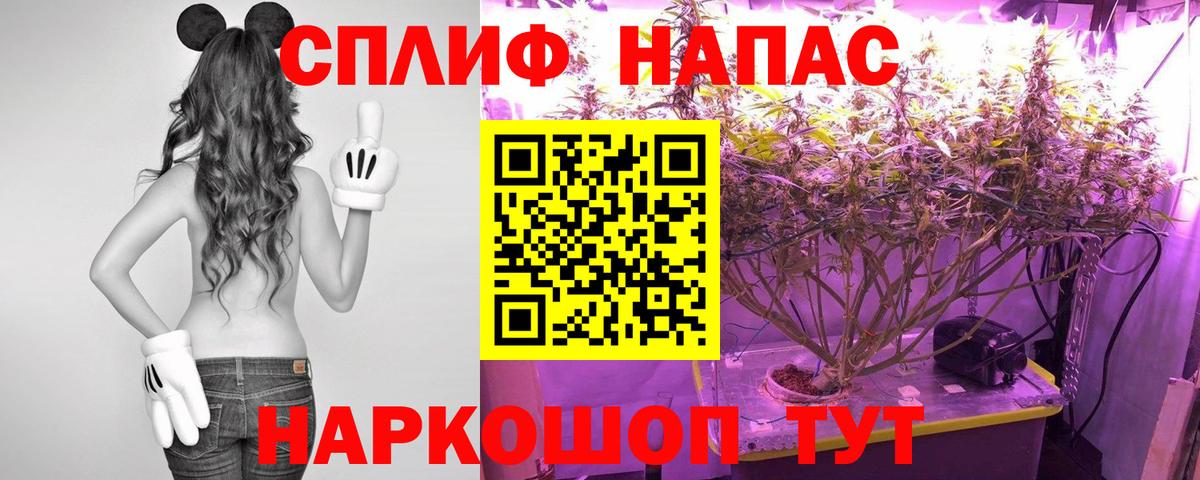 Канабис тримм Малгобек